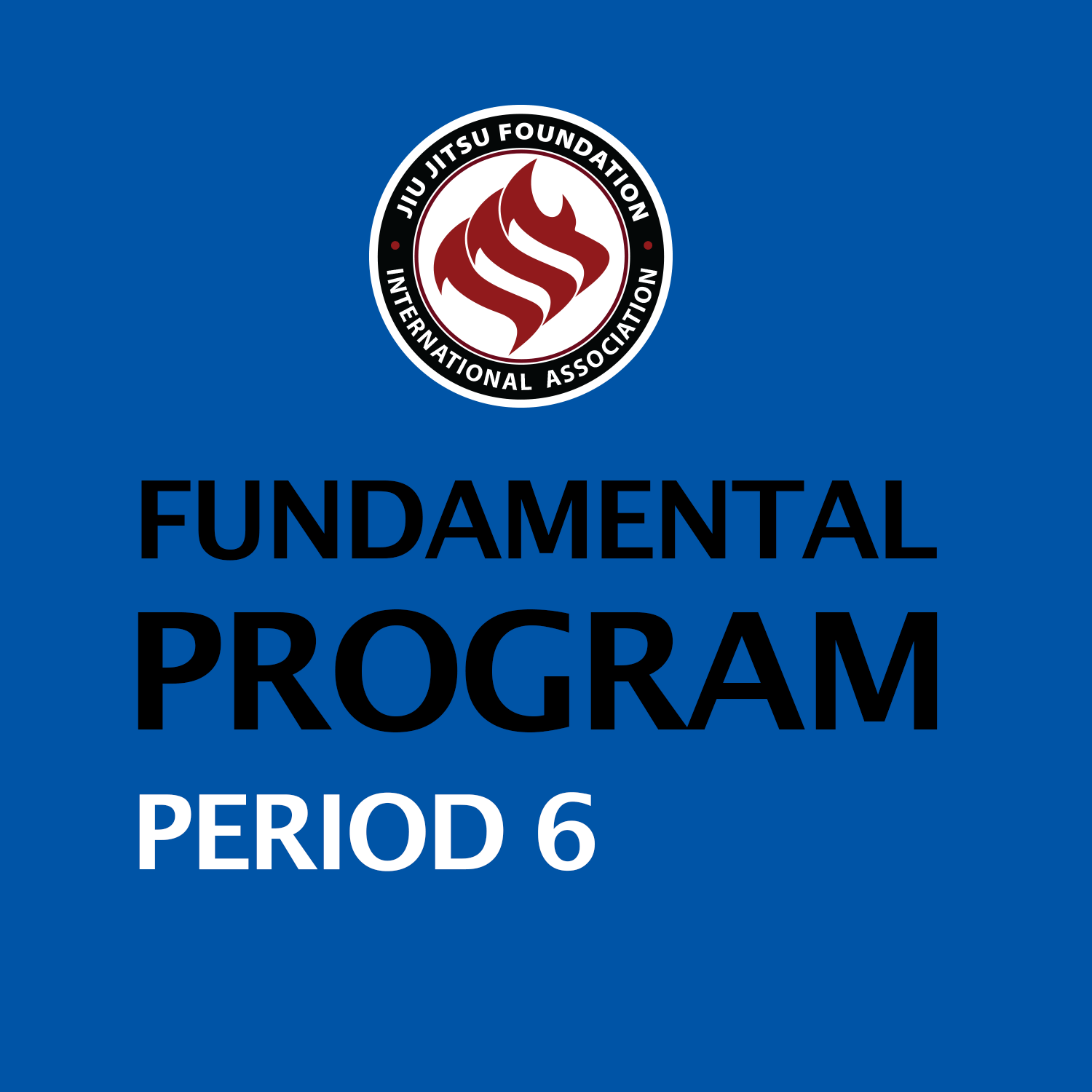 Fundamentals Period 6